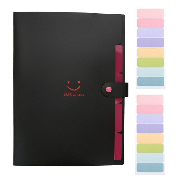 File Organiser with 5 Compartments, Expanding File Folder with 2