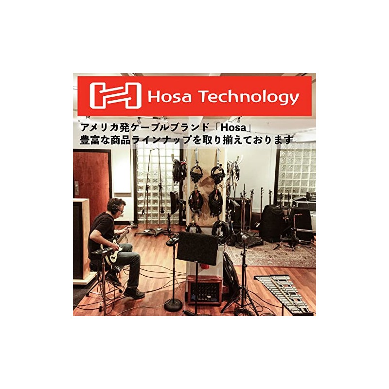 Hosa SKJ-610BB 10-Feet Dual Banana Speaker Cable