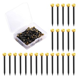 Bralucy 50pcs Picture Pins Brass Head Wall Pins Picture Hanging Nails with Plastic Storage Box for Walls Hat Picture Frames Photo Plaster Hangers