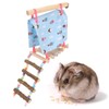 Pet Hammock Tent Colorful Climbing Exercise Small Pet Hanging Nest