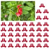 40 pcs Plastic Plant Training Clips, 90 Degrees Plant Stem