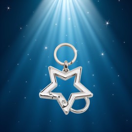 Silver Star Shaped Stainless Steel Keychain Clip Carabiner Snap Hook Holder Star Carabiner Hook Clip Keychain Carabiners for Keys and Wallet Accessory with Key Chain Rings（with Loop Hook）