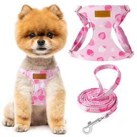 SlowTon Puppy Harness and Leash Sets - No Pull Soft Harness Small Pet Adjustable Lightweight Vest Harness Ideal for Walking Running Training for Puppy Small and Medium Sized Dogs