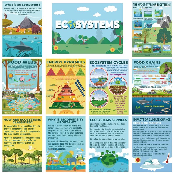 Pasimy 11 Pcs Science Posters for Classroom Ecosystems Teaching Poster