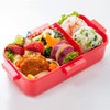 Skater PFLB6AG-A Ag+ Silver Ion, Antibacterial, Fluffy, Dome-Shaped Lid, 18.9