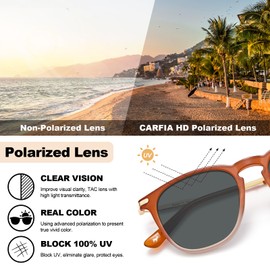 TSEBAN Vintage Polarised Women's Sunglasses Women Blue Light Filter Glasses, Acetate Frame & UV 400 Protection, D - Leopard Frame; Lens: Grey