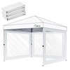 Acepic Clear Canopy Sidewalls for 10x10 Pop Up Tent, Transparent