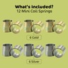 Srenta 1 Inch Mini Metal Coil Spring Silver and Gold