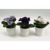 Ikea Fejka Artificial Potted Plant With Pot Set of 3