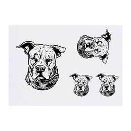 4 x 'pitbull' Temporary Tattoos - Water Resistant, Skin-Safe, Non-Toxic Transfers, Mixed Sizes (TO00060988)