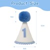 Neyeau 1st Birthday Hat,Plush 1st Birthday Crown,Cozy Cone Hat,Crown Conical
