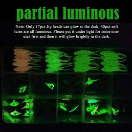 Dovesun Ice Fishing Jigs Kit, Ice Fishing Lures Glow in The Dark Jig Heads | Soft Baits Fishing Hooks Walleye Crappie Jig Set 93Pcs