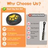 Dog Bells to Go Outside - Bell for Dogs to