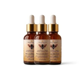 Pack 3 Miel Melipona Pura 100% Natural y Cruda Royale Mélipona de Natural Ourganics, Miel Virgen de Abeja Nativa Maya (Melipona Beecheii), Cosecha Sustentable, Frasco Dropper 30 ml / 40 g (Pack 3)