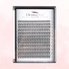Glowingwin Cluster Lashes 228 PCS Individual Lashes Natural Look False