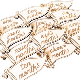Baby Monthly Milestone, Wooden Baby Milestone Signs, Monthly Milestone Wood Discs, Baby Milestone Discs (S002)