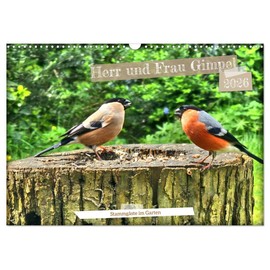 Herr und Frau Gimpel - Stammgäste im Garten (Wandkalender 2026 DIN A3 quer), CALVENDO Monatskalender