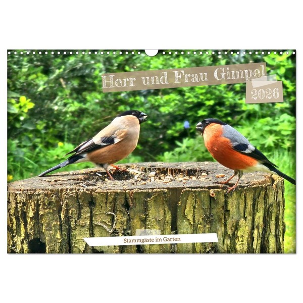 Herr und Frau Gimpel - Stammgäste im Garten (Wandkalender 2026