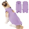 Avont Cat Recovery Suit Post-Surgery Onesie, Breathable Cone-of-Shame Alternative Bodysuit