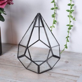 Akozon Geometric Glass Succulent Terrarium - Mini Greenhouse Flower Pot for Micro Landscapes - 12 x 12 x 14 cm - for Home and Office Decoration