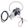 Carburetor Assembly Kit Garden Accessory for EU3000IS 16100ZL0D66 16100‑ZL0‑D66