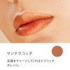 Etovos Mineral Sheer Matte Rouge 4g #Sun Terracotta