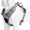 WINHYEPET True Love Dog Harness, No-Pull Reflective Pet Harness with