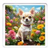 Chihuahua Coaster Set. 4 different Chihuahua Dog Pictures on 10cm