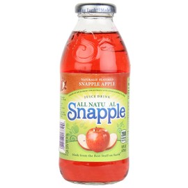 Snapple Apple Fruit Juice, 16 Ounce (6 Plastic Bottles)