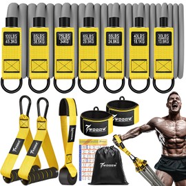 Heavy Resistance Bands for Working Out, 350lbs/450lbs Exercise Bands with Handles, Workout Bands Set for Men, Fitness Weight Bands for Muscle Strength Training, Stretching, Slim, Home Gym Equipment