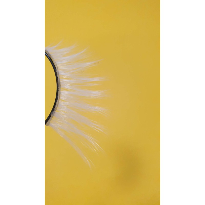 Eldora False Eyelashes NEW B801