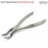 OROAX Children Tooth Extracting Forceps Fig 51 For Upper Roots