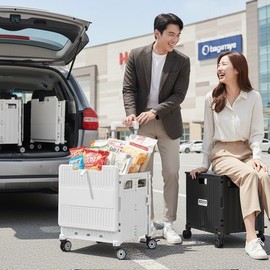 Extra Large 4-Wheel Folding Shopping Cart & Hand Cart for Groceries, Camping, and Trunk Organization Shopping Cart Black 2ea