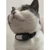 Wireless Pet Collar Camera for Cats and Dogs - Color: