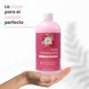 Acondicionador Rosa Mosqueta Productos Mart Oficial 500 Ml