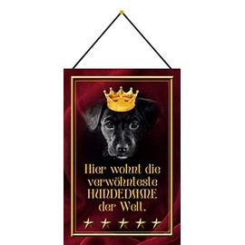 Blechschild Blechemma with cord 30 x 20 cm "Hier wohnt die spoilste Hundedame der Welt" [German Language]