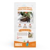 Back to the Roots Self-Watering Terracotta Olla Pot (Pack of