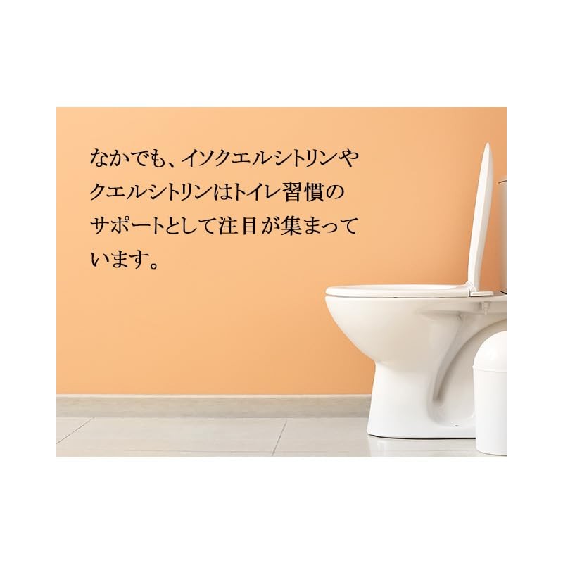 【リプサ公式】 どくだみ 約3か月分×2袋 C-139-2