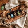 SNOWSEN Woody Essential Oil Set, 6 Pure Wood Scents -