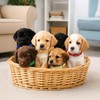 16 Pcs Puppy Leather Collars for Litter, 16 Color ID