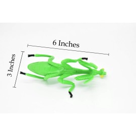 K&M Praying Mantis, Green Realistic Toy Bug Toy Nice Rubber Replica     6"     F2060