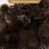 2count Ostrich Feather Duster 16 Inch Fluffy Natural with Wood