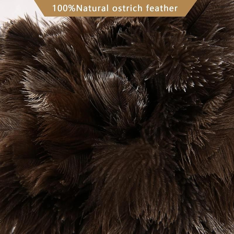 2count Ostrich Feather Duster 16 Inch Fluffy Natural with Wood