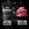 Creatina monohidratada micronizada 500g sin sabor Testo Rocket pre workout