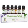 Natura Pur Organic and Pure Essential Oil Set