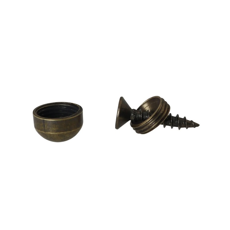 DGBRSM 8pcs Pure Brass Decorative Screws with Caps Used as