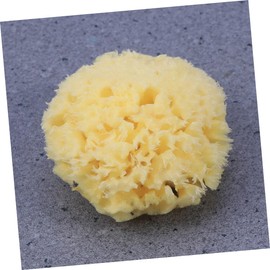 Outanaya 2pcs Chemical Honeycomb Seaweed Bath Sponge Gentle for Boys and Girls Adults Natural Shower Sponge