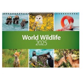 2025 World Wildlife Wall Calendar - CL06
