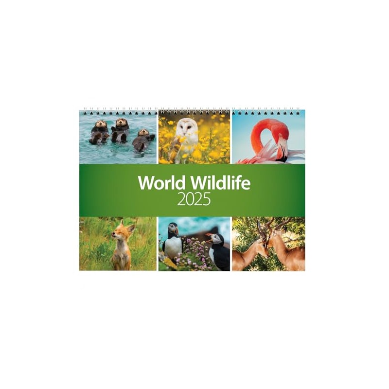 2025 World Wildlife Wall Calendar - CL06