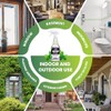 Peppermint Oil Insect & Spider Repellent Spray - All-Natural, Pet-Safe